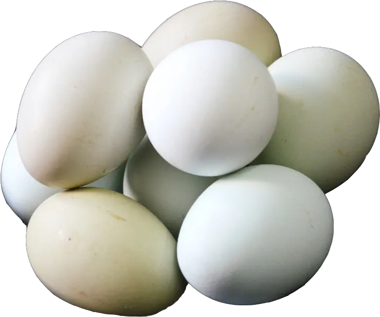 Salted Duck Egg White A Bunch Of Duck Png Download Salted Duck Egg Egg Png