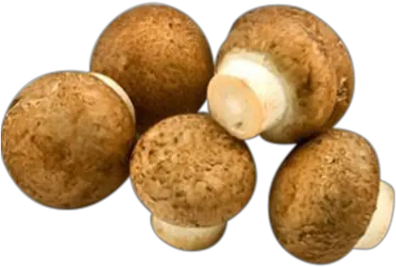 Creminibrownswiss Mushrooms Hy Vee Aisles Online Grocery Swiss Brown Mushroom Png Transparent Mushroom Transparent