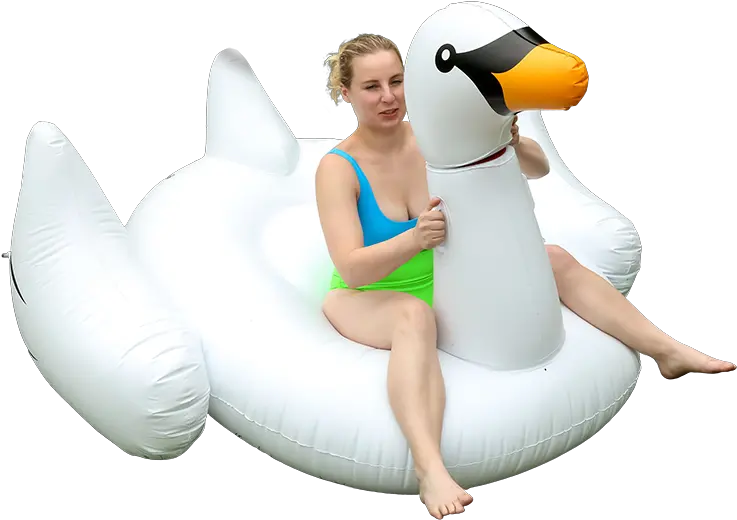 Calling All Weirdos The Decapitated Swan Pool Float Now Exists Inflatable Png Pool Float Png