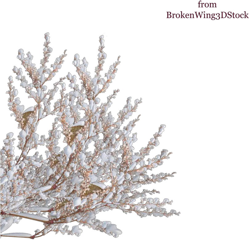 Tree Shrub Winter Branch Snow Top Png Download 900900 Transparent Background Snow On Tree Png Snow Gif Png