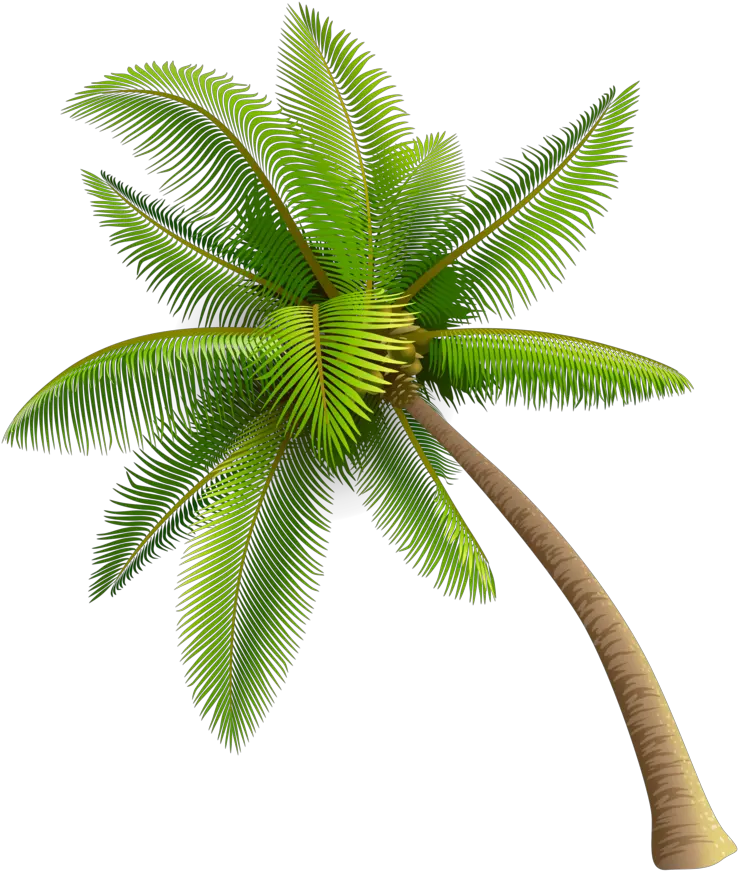 Full Color Palm Trees Png