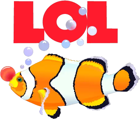 Whimsy Patricia Wiskur Ocellaris Clownfish Png Clown Nose Transparent