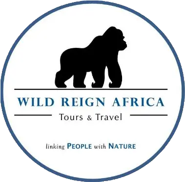 Wild Reign Africa Tour And Travel Company Bwindi Impenetrable National Park Png Gorilla Logo