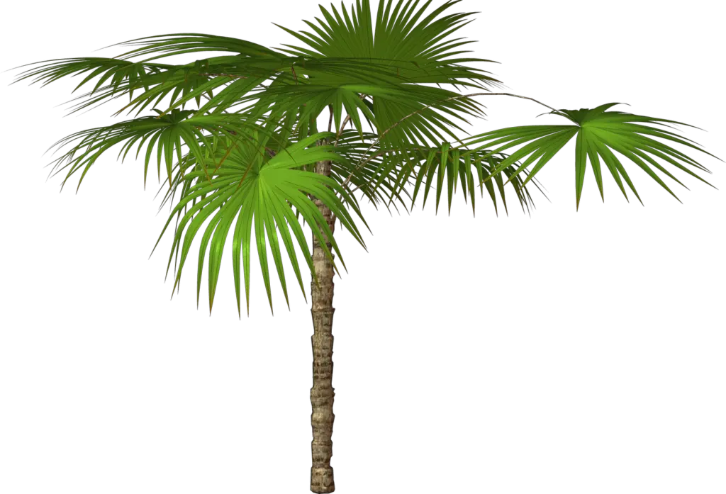 Free Cartoon Palm Tree Png