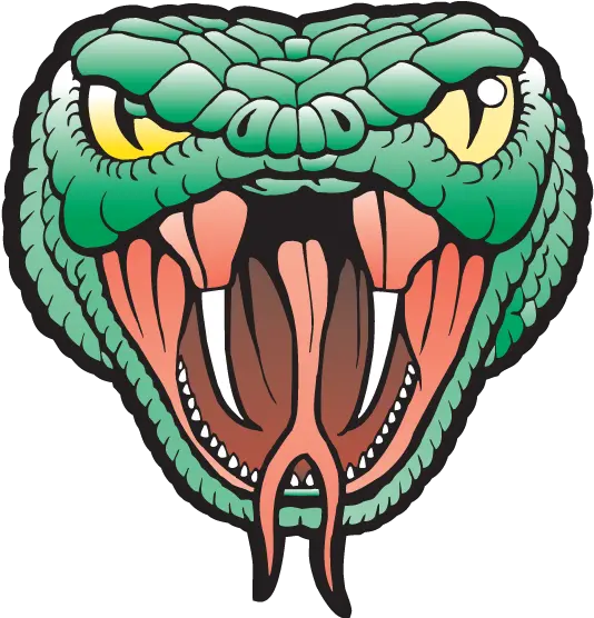 Download Viper Head Only Png Image With Viper Head Snake Head Png