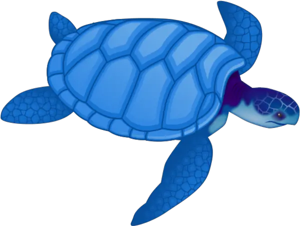 Free Sea Turtle Clipart Image 9 Sea Turtle Clip Art Png Cute Turtle Png