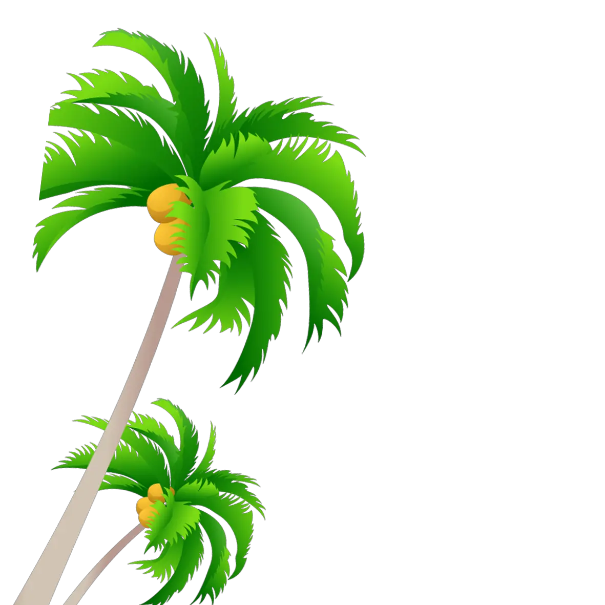 Drawn Palm Trees Png