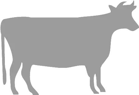 Beef Cattle Silhouette Stencil Dairy Photography Cow Vector Icon Png Cow Face Icon