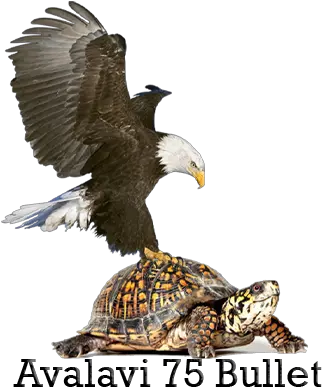 Home Page Png Turtle Bullet Club Png