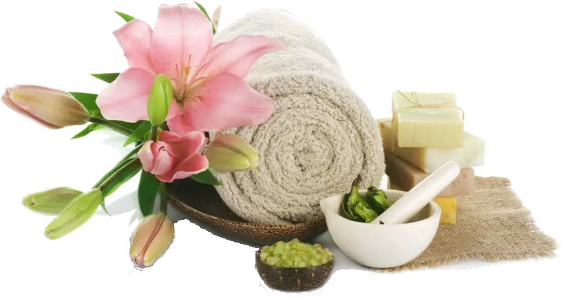 Home Petal Touch Salon U0026 Spa Accessories Massage Flower Png Rose Icon Pimple Saudagar Pune Rates