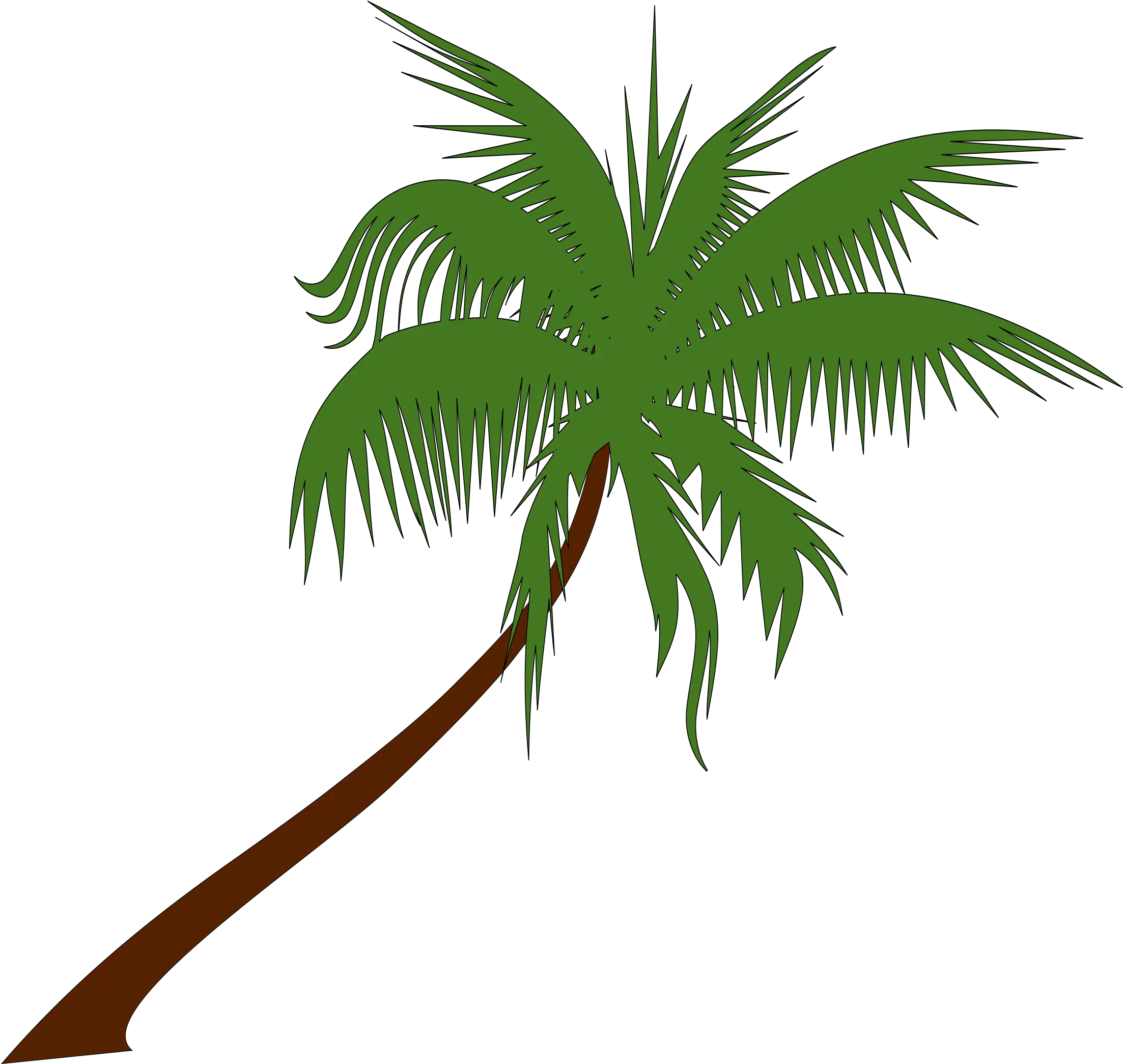 Cocop Plumosa Palm Tree Png
