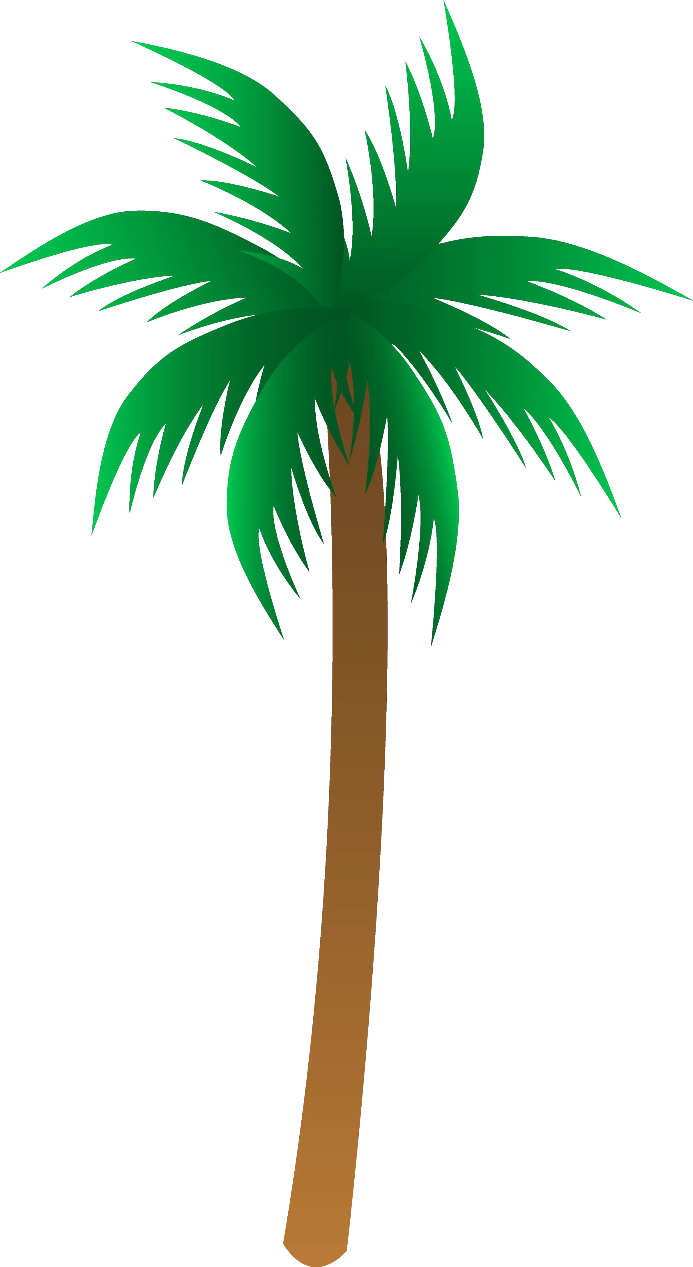 Christmas Lights Wrapped Around Palm Tree Trunk Lights Only Png