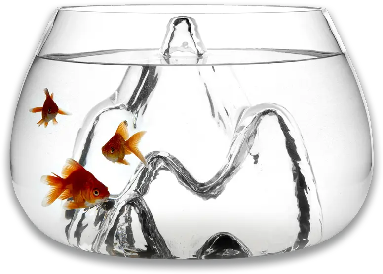 Fishscape Fishbowl By Aruliden For Gaia Unique Fish Bowls Png Fish Bowl Transparent Background