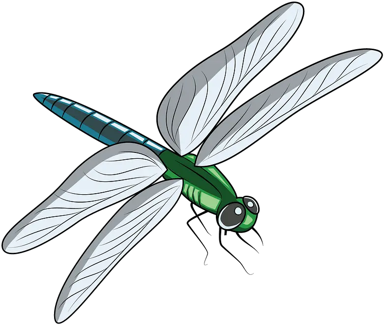 Dragonfly Clipart Free Download Transparent Png Creazilla Clipart Image Of Dragonfly Dragon Fly Png