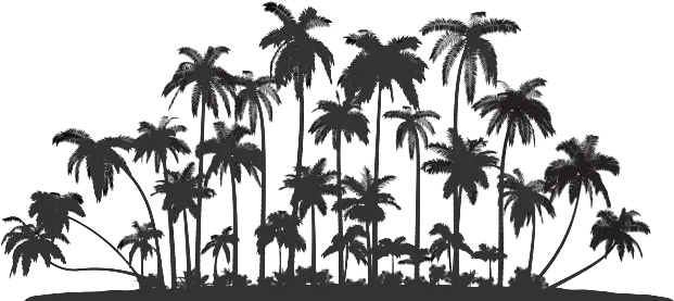 Palm Tree Service Oahu Row Of Palm Trees Silhouette Png Palm Tree Silhouette Png
