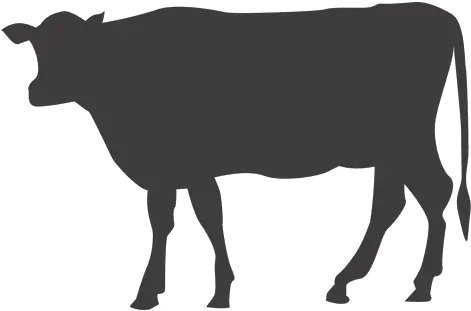 Cow Walking Silhouette Transparent Png U0026 Svg Vector File Black Png Transparent Cow Silhouette Png Cow Transparent Background