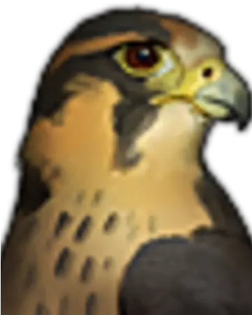 Falcons Battle Brothers Wiki Fandom Hawk Png Falcons Png