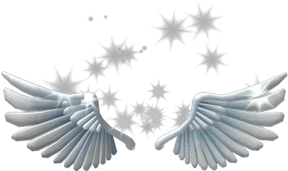 Sparkling Angel Wings Roblox Wikia Fandom Sparkling Angel Wings Png Roblox Wing Png