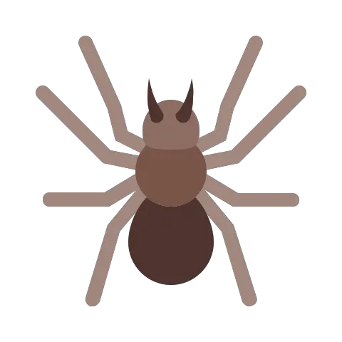 Spider Icon Free Download Png And Vector Insect Spider Logos