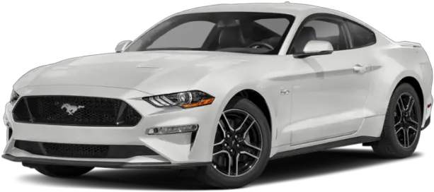 2022 Ford Mustang Ecoboost 101a In Starke Fl Jacksonville Ford Mustang Ecoboost 2022 Png Shazam Dc Icon
