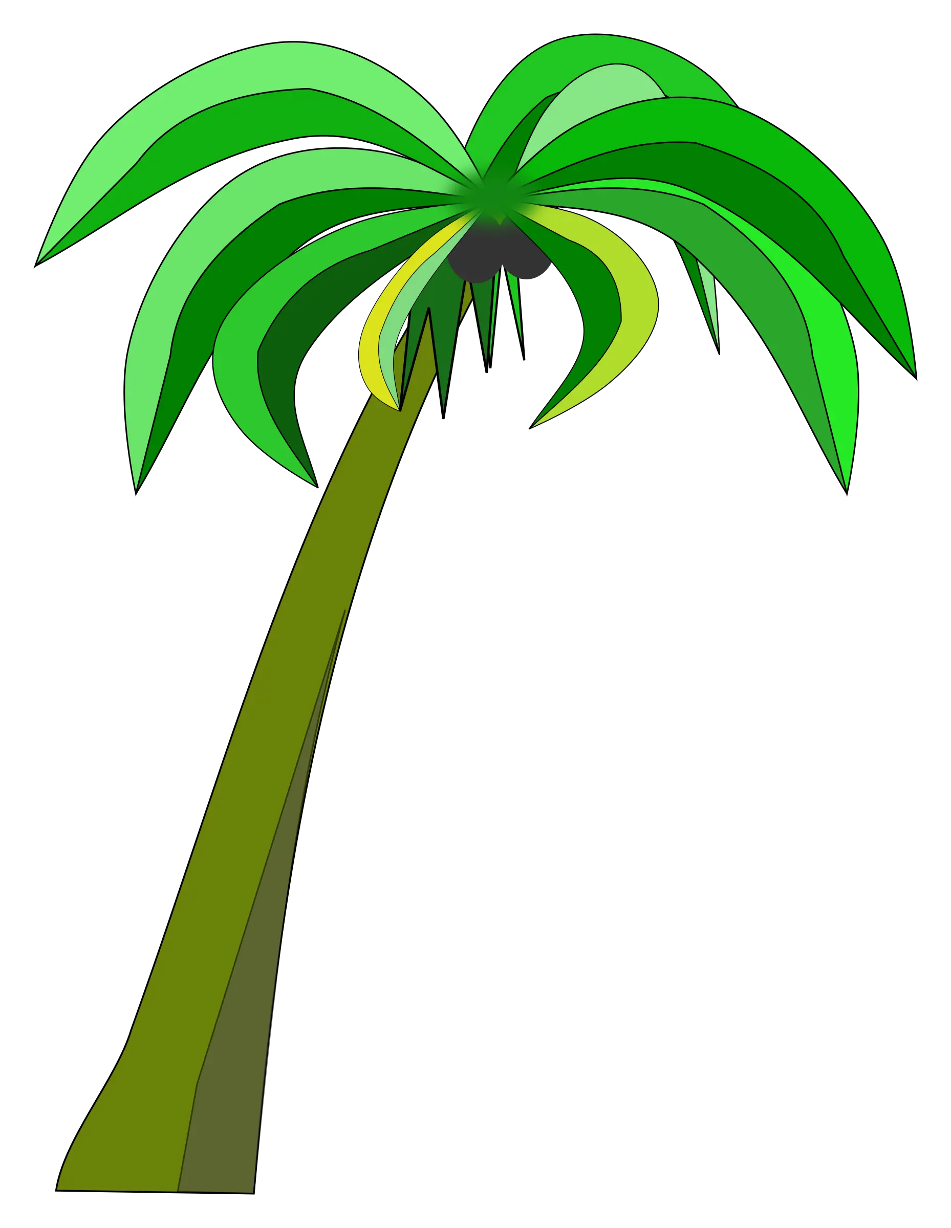 Palm Trees Png Transparent
