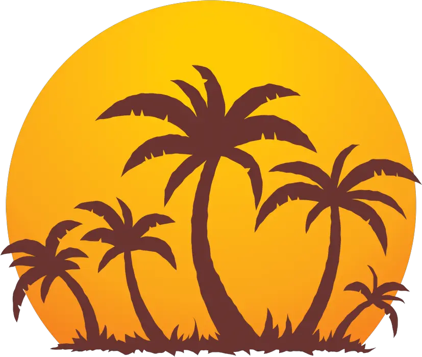 Transparent Palm Tree Shadow Png