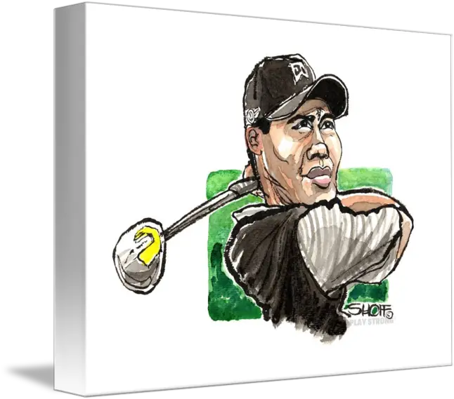 Golf Tiger Woods Vision By Stephen Shoff Pitch And Putt Png Tiger Woods Png