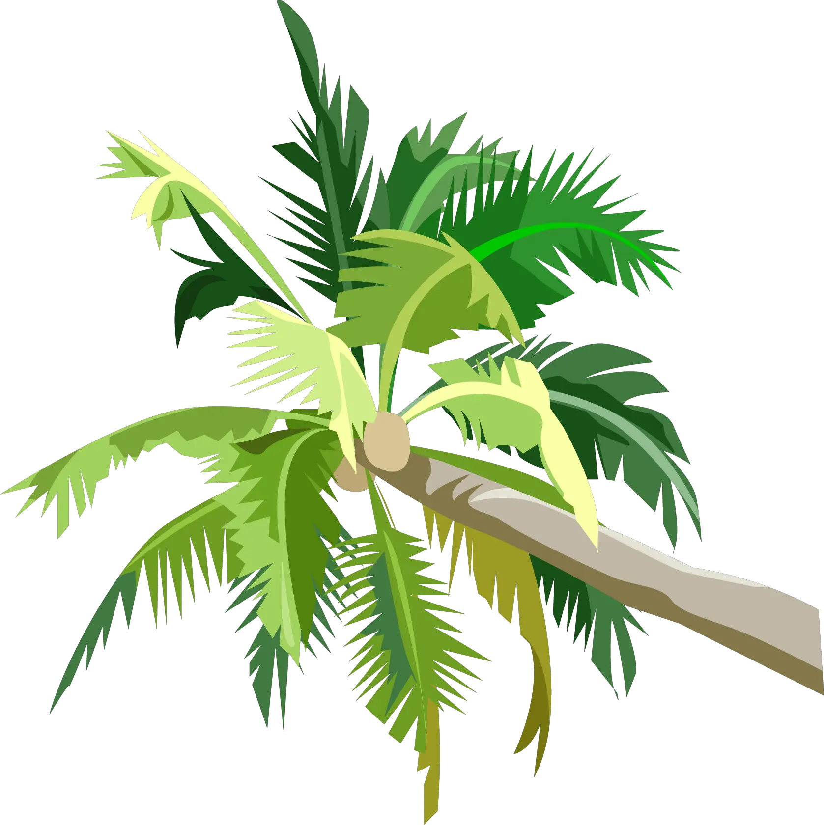 Palm Tree Png For Photoshop