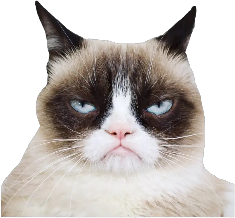 Grumpy Cat Png Photos Grumpy Cat Face Png Cat Face Transparent Background