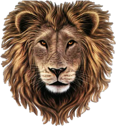 Lion Head Png Clipart Lion With Heart Lion Roar Png