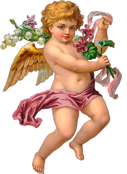 Cupidpng Victorian Angels Angel Art 1469456 Png Cherub Angel Cupid Png