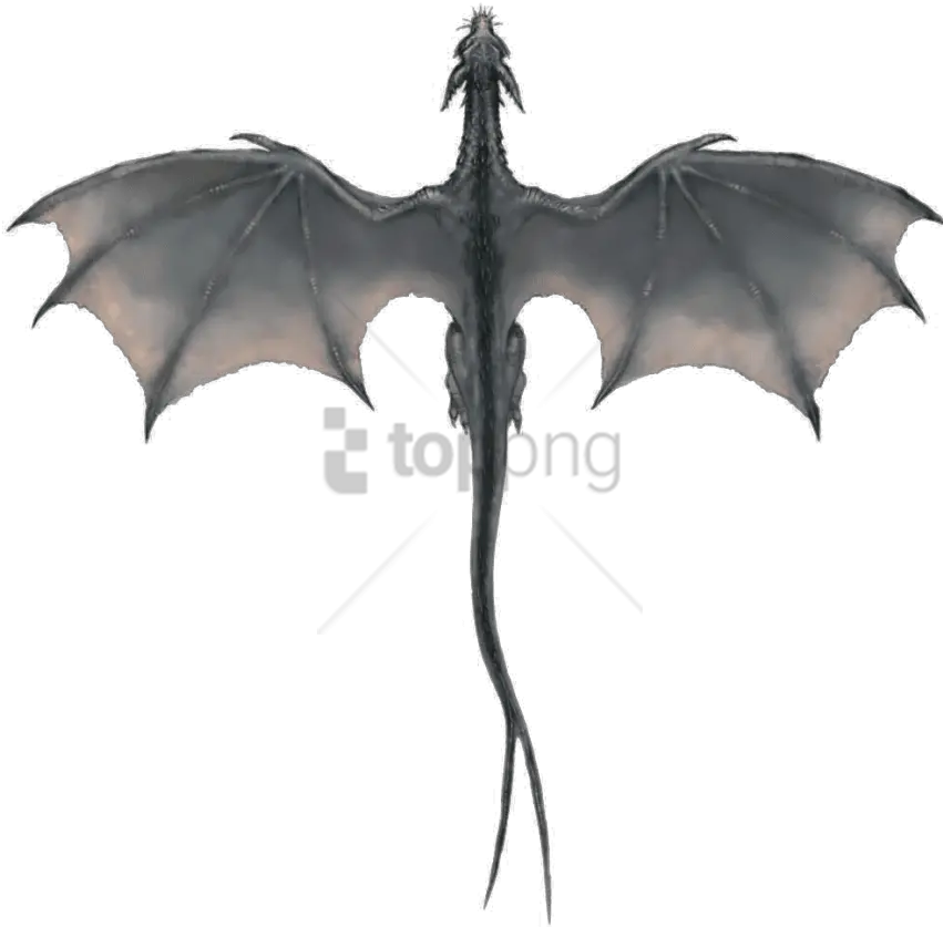 Download Free Png Gray Dragon Image Flying Game Of Thrones Dragons Game Of Thrones Dragon Png