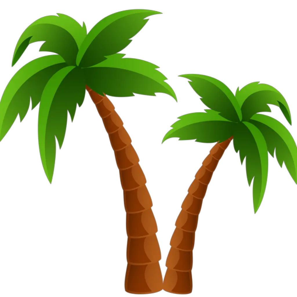 Top View Palm Tree Png