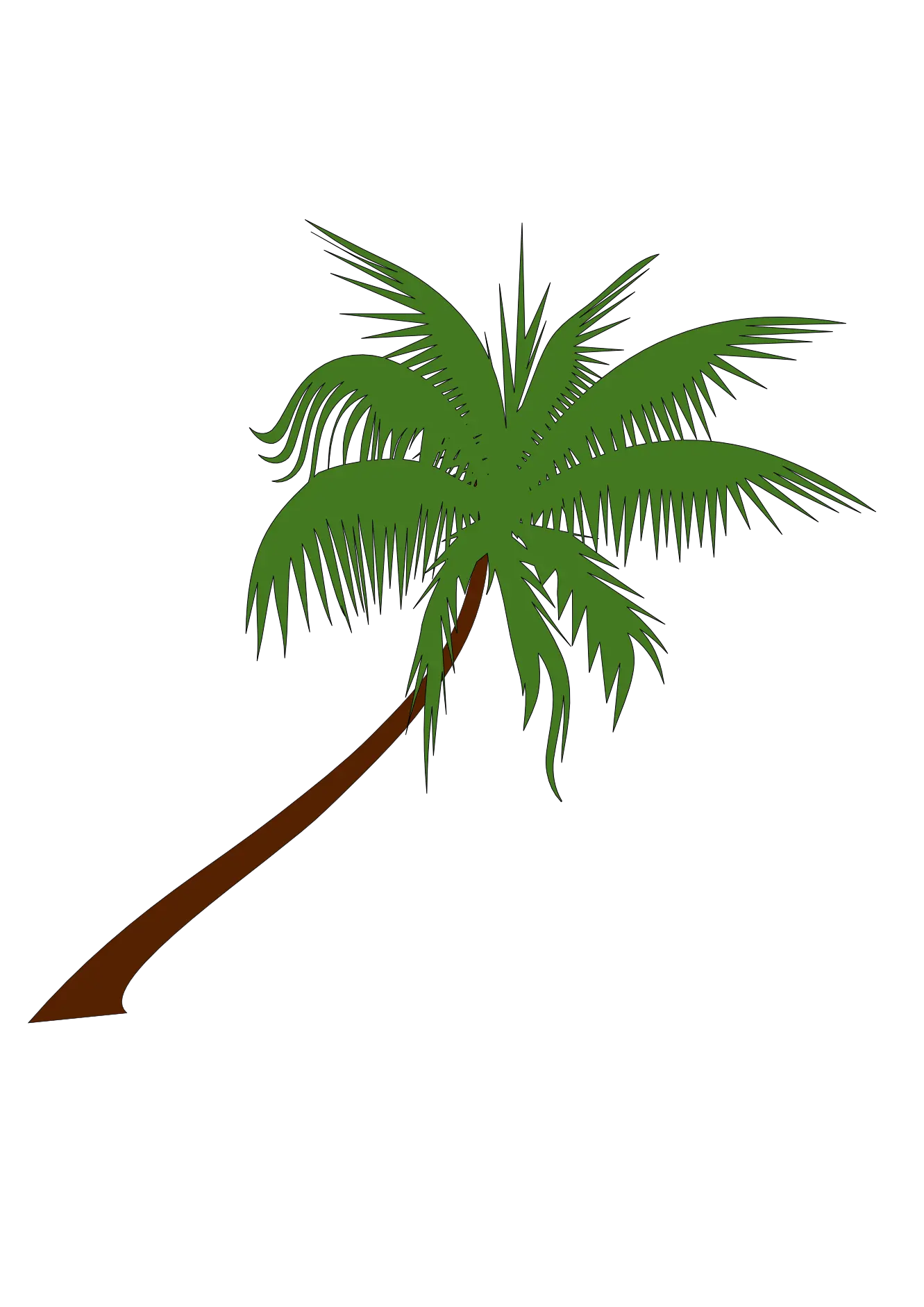 Real Palm Tree Png