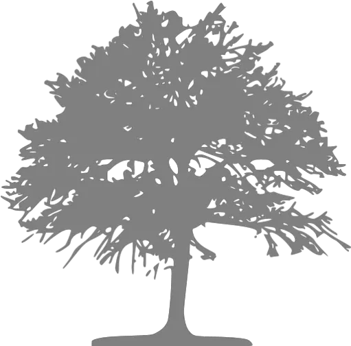 Gray Tree 46 Icon Free Gray Tree Icons Silhouette Grey Tree Png Tree Transparent