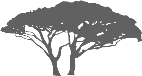 Exotic Tree Silhouette Transparent Png U0026 Svg Vector File Exotic Tree Silhouette Png Trees Silhouette Png