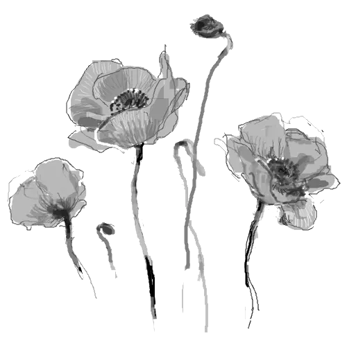 Flowers Png Dead Flowers Tumblr Png Hd Png Download Dead Flower Tumblr Png Flower Png Tumblr