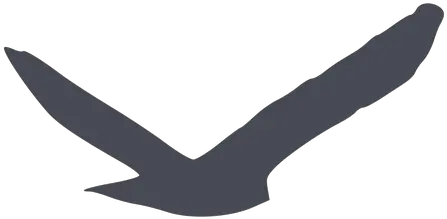 Predatory Bird Silhouette Free Svg Dark Grey Bird Silhouette Clip Art Vector Png Bird Silhouette Png