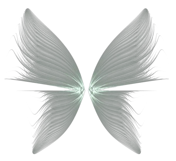 Download Angel Halo Png For Kids Transparent Background Wing Png Angel Halo Transparent Background