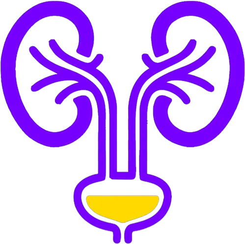 Pqtap U2013 Supporting The App Nephrology Icon Png Pee Icon