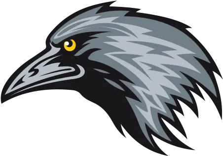 Crow Head Png Picture 555029 Logo Vector Head Crow Crow Transparent