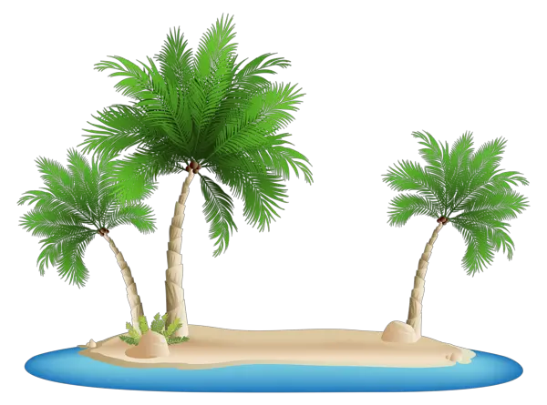 Palm Tree Png Cartoon