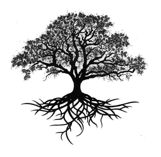 Download Oak Silhouette Tree Drawing Trees Png Free Oak Tree Tattoo Designs Free Tree Png