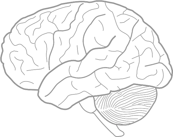 Brain Sketch Clip Art Vector Clip Art Online Brain With Eyes Drawing Png Human Brain Png