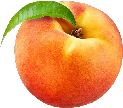 Photos Peach Transparent Transparent Background Peach Transparent Png Peach Transparent Background