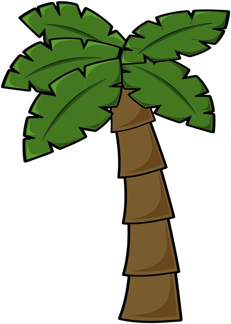 Palm Tree Image Png