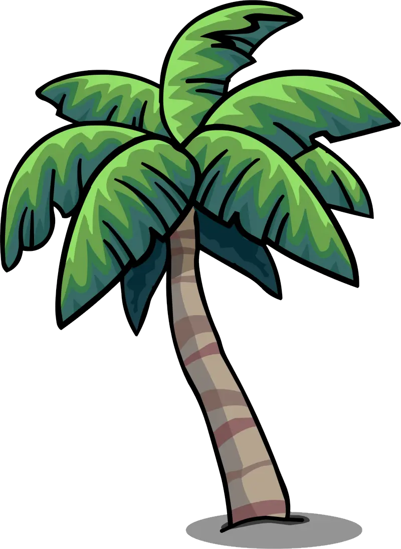 Palm Tree Plant Png