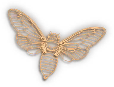 Transparent Background Bee 2 Png