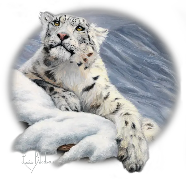 Snow Leopard Lucie Bilodeau Transparent Transparent Snow Leopard Png Snow Leopard Png
