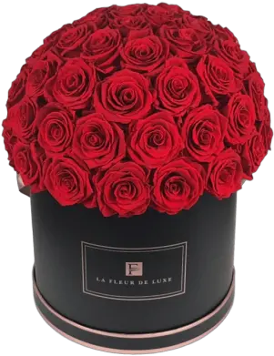 Luxury Real Roses That Last A Year Garden Roses Png Real Rose Png